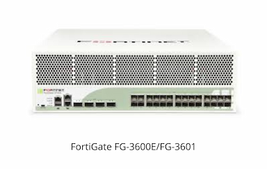 Fortinet FG-3700D